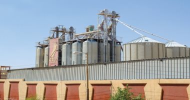 دعوى قضائية ضد شركات أبو ظبى للاستثمار وحورس للحبوب والمصرية الفرنسية