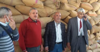 توريد 100 طن قمح بشون محافظة دمياط