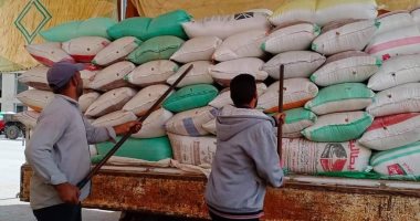 توريد 21774 طنا و 319 كيلو أقماح بـ 20 موقعا فى محافظة كفر الشيخ