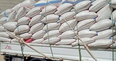 صوامع المنيا تستقبل 7865 طن قمح وتوريد 83930 طنا في الشرقية