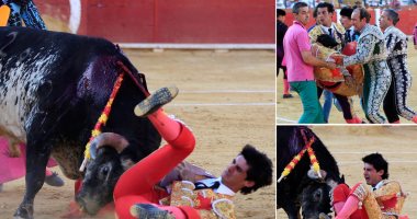 مصارعة الثيران تراث شعبى يثير الجدل فى إسبانيا.. بين مؤيد ومعارض تعود بعد عام ونصف من الإلغاء بسبب كورونا.. الحد الأقصى للحضور 6000.. خسائر القطاع 200 مليون يورو.. و500 ألف يورو خسائر تربية الثيران فى موسم واحد