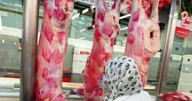 تحرير محاضر وضبط لحوم مخالفة خلال حملات تفتيشية فى الشرقية.. صور