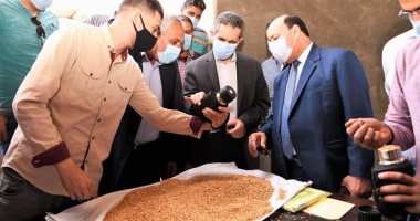 توريد 11095 طنا من القمح إلى الصوامع والهناجر والشون بالغربية