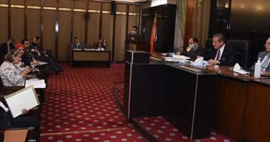 وزير المالية: الاقتصاد المصرى استطاع الصمود أمام أزمة كورونا والتعافى سريعا.. صور