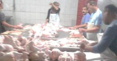 ضبط كميات ضخمة من أجزاء الدجاج واللحوم الجملى الفاسدة فى حملة بالشرقية
