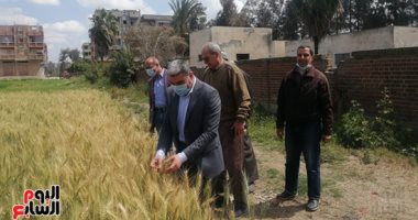 خيرات بلدنا.. انتظام استقبال شحنات القمح بالصوامع والشون.. توريد 144 ألف طن بالغربية و125 ألف طن بالمنيا و160 ألف طن بالقليوبية وبنى سويف وكفر الشيخ والوادى الجديد.. والمحافظون يوجهون بتيسير إجراءات التوريد