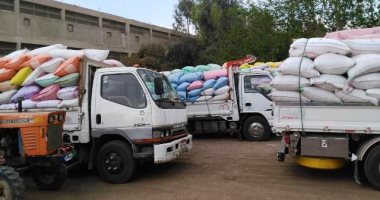 توريد 53382 طن قمح منذ بداية الموسم بشون وصوامع "الشرقية وبنى سويف ودمياط"