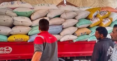 توريد 45042 طنا و928 كيلو أقماح بـ20 موقعا فى كفر الشيخ