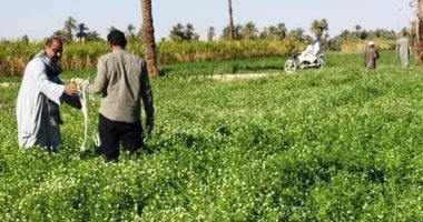 حياة كريمة تحقق حلم أهالى "النمسا" بانشاء محطة صرف الصحى فى الأقصر.. صور