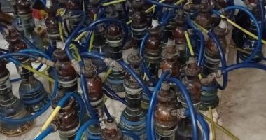 ضبط 1214 شيشة وتحرير 1024 مخالفة عدم ارتداء كمامة وغلق 73 مقهى بالقليوبية