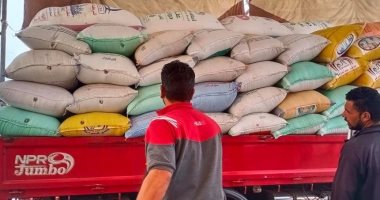 توريد 125372 طن قمح موردة لـ57 صومعة وشونه بكفر الشيخ والبحيرة