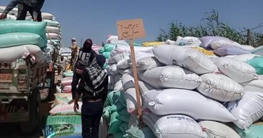 صوامع وشون بنى سويف والشرقية تستقبل 70351 طن قمح