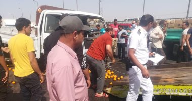 انقلاب سيارة نقل محملة بفاكهة على طريق القاهرة الإسكندرية الزراعى بقها..صور