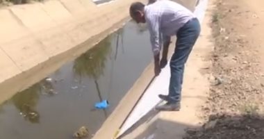مدرس لغة عربية يعبر عنه حبه لمصر برسم علم مصر على الترع المبطنة بطنطا