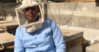 "عبدالله" بنى مملكته الخاصة بألف جنيه فى عمر 16.. بدأ بخليتين نحل وأصبحوا 60