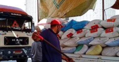 توريد 240 ألف و559 طن قمح لشون وصوامع المنوفية وكفر الشيخ وبنى سويف