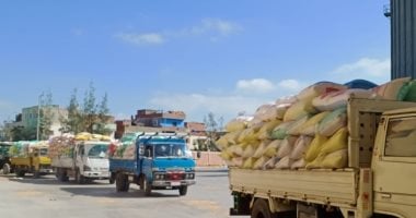 وزير التموين يوجه باستمرار  تيسير إجراءات استلام القمح المحلى من المزارعين