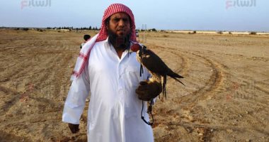 رحلة صيد الفريسة.. مدرب صقور يكشف طرق تدريبها على الصيد وأسعارها.. فيديو وصور