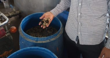 غلق 14 منشآة غذائية وإعدام 2.465 طن أغذية فاسدة بالشرقية