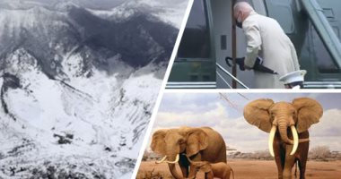 العالم هذا المساء.. مصرع 7 أشخاص بسبب انهيار جليدى فى جبال الألب بفرنسا.. محكمة أمريكية تنظر فى أول دعوى قضائية من فيل ضد حديقة الحيوان.. وحريق بمعمل اسطوانات أكسجين وسط بغداد بالعراق