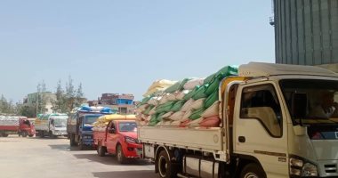 محافظ كفر الشيخ: توريد 122462 طنا و389 كيلو قمح للصوامع والشون وحصاد 215 ألف فدان