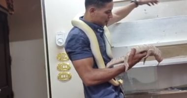 أغرب بيت فى مصر.. أسرة تعيش مع الثعابين والتماسيح فى أسيوط.. فيديو