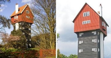 سلحفاة ومرحاض.. أشهر التصميمات المعمارية الغريبة.. ألبوم صور