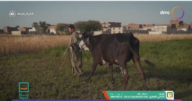 "حياة كريمة" يهدى عم صابر فدان أرض وبقرة وسط احتفالات من أهالى ديروط