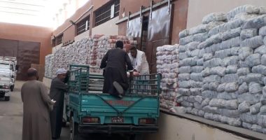 توريد 9316 طن قمح بنسبة 27.4% من السعة التخزينية للشون والصوامع بالأقصر