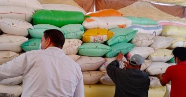 محافظ كفر الشيخ: توريد 141343 طنا و603 كيلو قمح للصوامع والشون.. صور