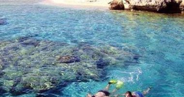 أبو منقار والجفتون.. جزر تستقبل الرحلات البحرية بديلا للشواطئ المغلقة