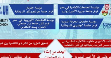 التعليم العالى تعلن فروع الجامعات الأجنبية المعتمدة فى مصر.. انفوجراف