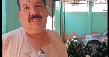 تبدأ من جنيه وحتى 30.. إزاى تختار بطيخة طعمها لذيذ من أكبر شوادر المنيا (لايف)