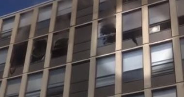 بـ7 أرواح.. قط ينجو من الموت بأعجوبة ويقفز من الدور الخامس بعد نشوب حريق.. فيديو