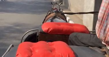 هنفسحك فى الحنطور.. أحلى رحلة على الكورنيش وكوبرى قصر النيل "فيديو"