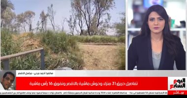 تفاصيل حريق 31 منزلا وحوش ماشية بالأقصر ونفوق 16 رأس ماشية.. فيديو