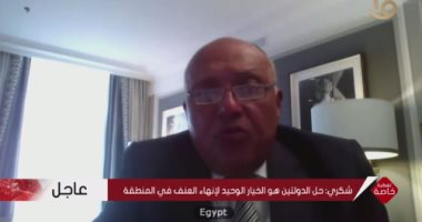 وزير الخارجية: لا سلام بالمنطقة دون إيجاد حل عادل ومستدام للقضية الفلسطينية