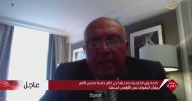 شكرى: القضية الفلسطينية شهدت انتكاسات متتالية وتهجير حى الشيخ جراح ممنهج