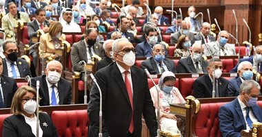 وكيل مجلس الشيوخ: 30 يونيو ثورة شعبية فريدة ومصر تسير على الطريق الصحيح