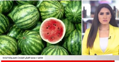 الزراعة: لا توجد منتجات زراعية مسرطنة ونصدر منتجاتنا لجميع دول العالم