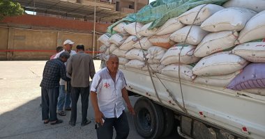 إقبال من المزارعين على توريد الذهب الأصفر للصوامع فى المنوفية .. فيديو وصور