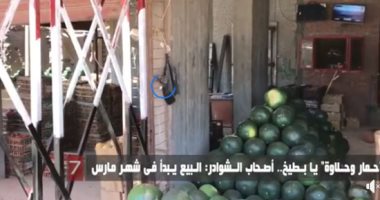 ازاى تشترى بطيخة طعمها حلو.. الجيزاوى والصعيدى الأفضل والسعر من 10 لـ 30 جنيها.. لايف
