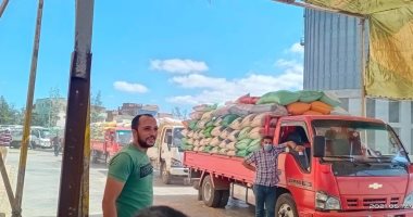 توريد 235 ألفا و750 طن قمح لشون وصوامع بنى سويف