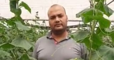 الخيار بـ 5 جنيهات.. نجاح زراعة الصوب الزراعية فى قرى الشرقية.. لايف