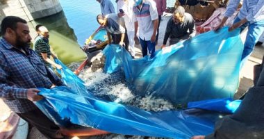 شاهد إلقاء نصف مليون واحدة من ذريعة البلطى فى نهر النيل بالدقهلية.. صور