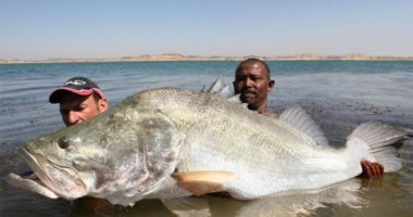 عالم البحار.. أسماك ضخمة تبهر العالم بأوزان وأطوال قياسية..ألبوم صور