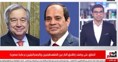 مصر تفرض السلام.. نجاح جهود القاهرة فى وقف إطلاق النار فى غزة.. فيديو