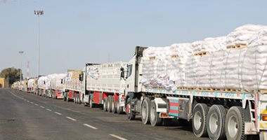 نائبة بـ"الشيوخ": دعم القضية الفلسطينية يؤكد الدور الكبير لمصر بالمنطقة العربية