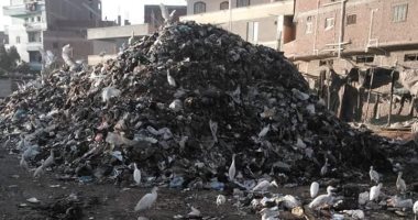 رئيس مدينة زفتى يرد على شكوى من تراكم القمامة فى قرية سندبسط بالغربية