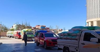 محافظة قنا تنتهى من توريد 168 ألفا و819 طنا من القمح للشون والصوامع